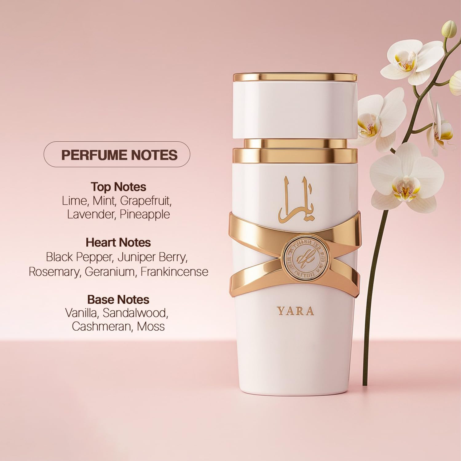 Yara Moi - 3.4 oz Floral, Frut - Yara Perfume Fragrance avaliação e preço